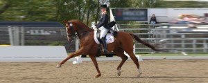 workshop ruitersport2016