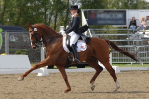 workshop ruitersport2016